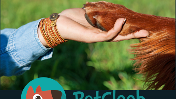 Mit PetCloob kostenlose, liebevolle Tierbetreuung finden